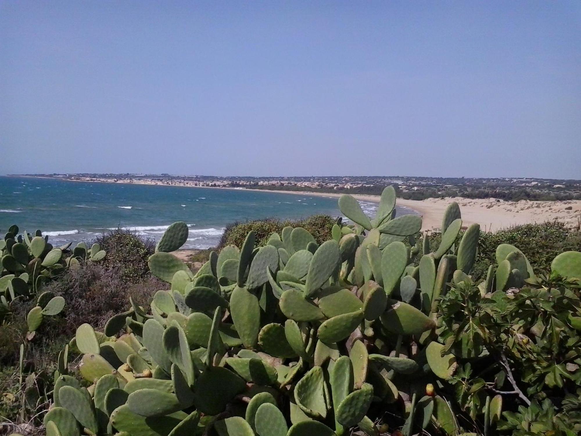 Le Terrazze Sul Mare Villa Cava dʼAliga Екстериор снимка